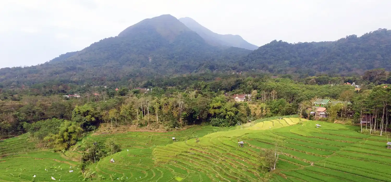 foto selolimanecolodge