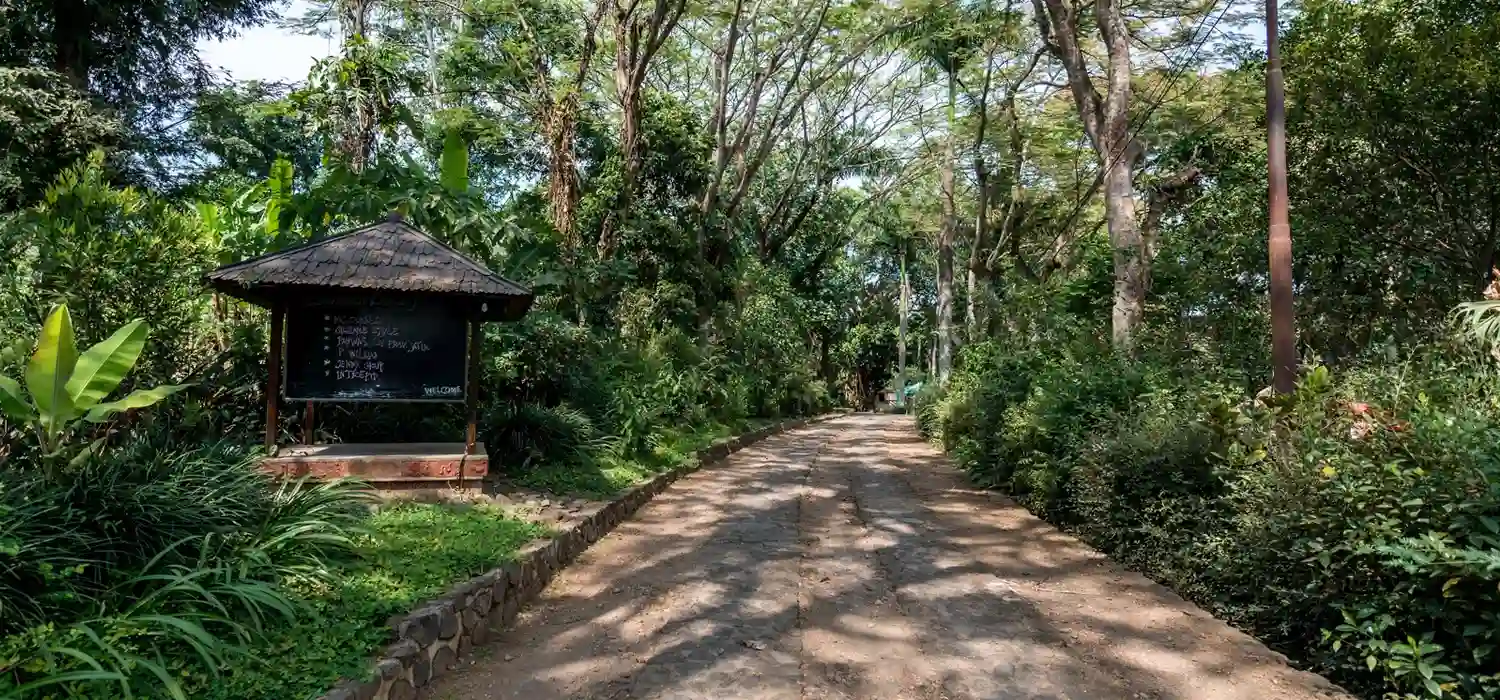 foto selolimanecolodge