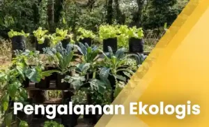 Pengalaman Ekologis foto selolimanecolodge