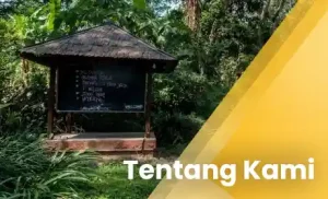 Tentang Kami foto selolimanecolodge