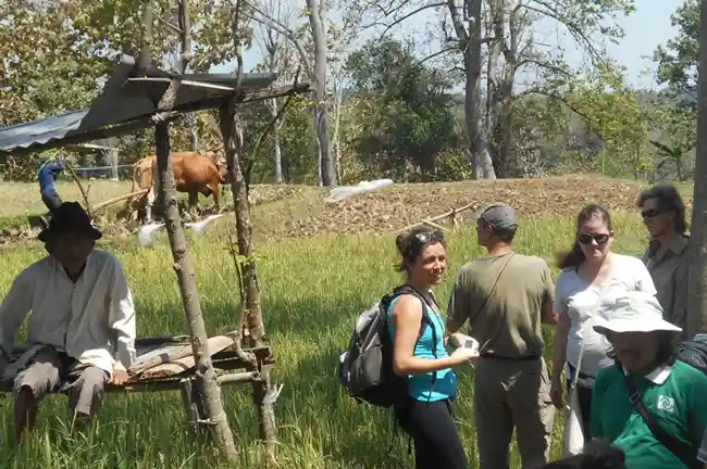 foto selolimanecolodge